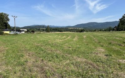 Prodej stavebního pozemku Metylovice